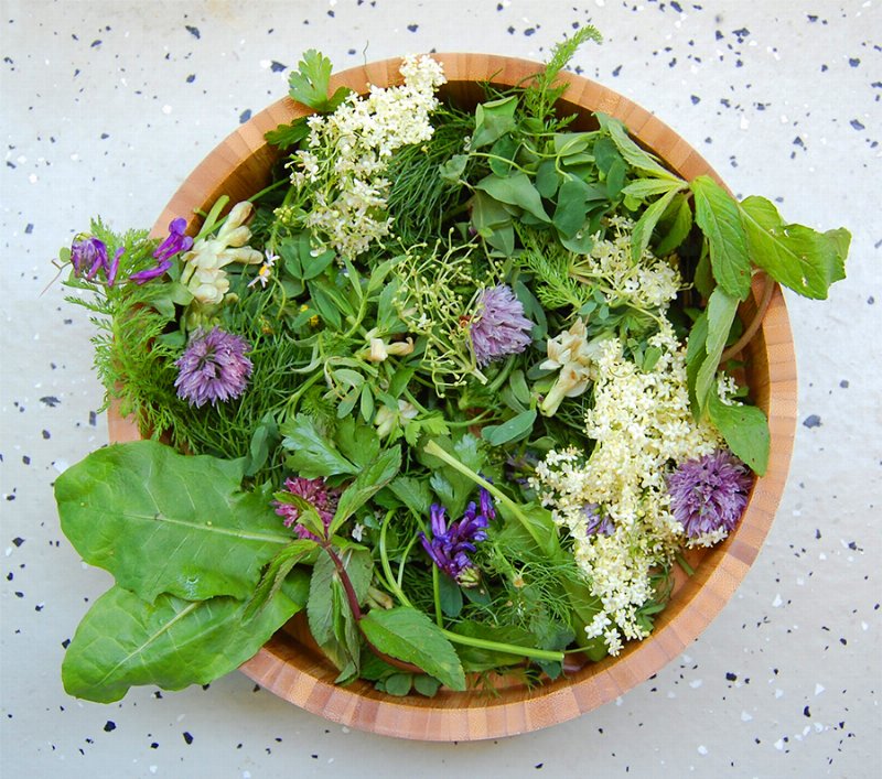 Foraging in the UK: A Beginner's Guide to What's Safe and Seasonal