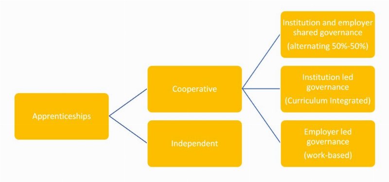 Apprenticeships Explained: A Guide for Employers and School-Leavers